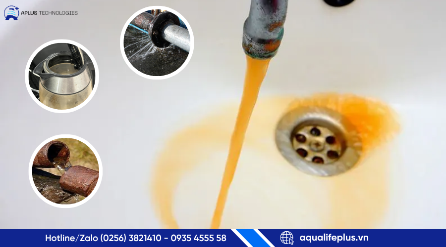Nước Máy Có Uống Được Không? 5 Sự Thật Bạn Cần Biết